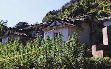 pokharahemp